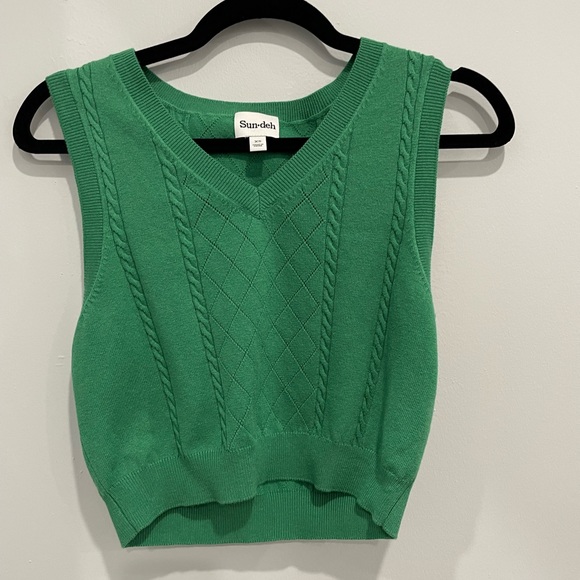 Aritzia Sweaters - Aritzia Sunday Best Sweatervest